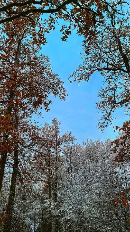 Het Boshuisje In Durbuy 빌라 외부 사진